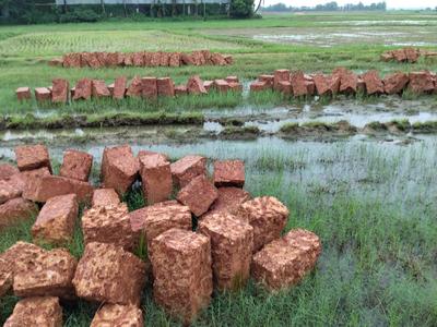 Image of 1500 Sq.ft Residential Plot / Land for sale in Benupur, Bhubaneswar for Rs. 3450000