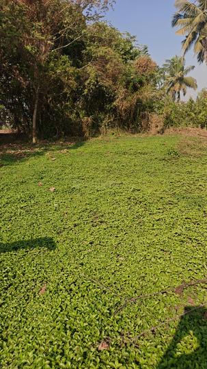 Mangala Nagar Main Image 1