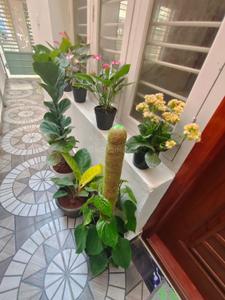 Balcony Image of 2400 Sq.ft 4 BHK Duplex for sale in JP Nagar Bengaluru for Rs. 24000000