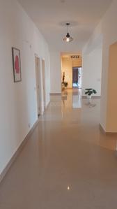 Hall Image of 5318 Sq.ft 5 BHK Apartment / Flat for sale in Mapsko Royale Ville, Sector 82 Gurgaon for Rs. 55000000