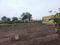Perne Plot View 2