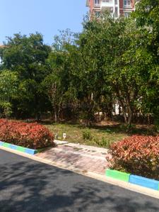 Image of 1210 Sq.ft Residential Plot / Land for sale in Hulikere, Mysore for Rs. 5445000