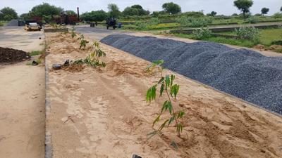 Image of 900 Sq.ft Residential Plot / Land for sale in Chirawa, Jhunjhunu for Rs. 800000