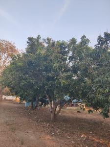 Image of 1500 Sq.ft 2 BHK Farm House for sale in Mahabalipuram, Chennai for Rs. 25000000
