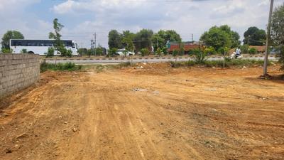 SERENE GREENS Plot View 3