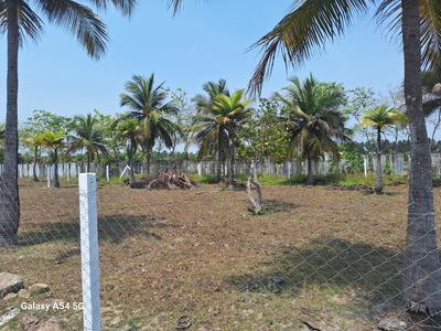 Image of 8505 Sq.ft Residential Plot / Land for sale in Melmaruvathur, Chennai for Rs. 2976750