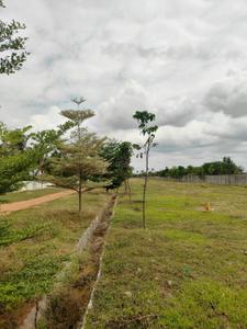 Image of 800 Sq.ft Residential Plot / Land for sale in Armane Nagar, Bengaluru for Rs. 1439200