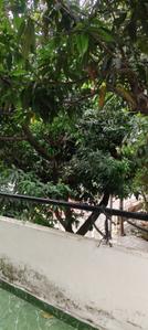 Balcony Image of 2500 Sq.ft 2 BHK Independent House for rent in Gomti Nagar Lucknow for Rs. 22000