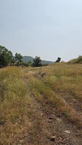 Image of 11000 Sq.ft Residential Plot / Land for sale in Bhor, Pune for Rs. 2100000