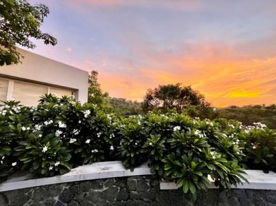 Image of 10000 Sq.ft 4 BHK Villa for rent in Bhugaon, Pune for Rs. 500000