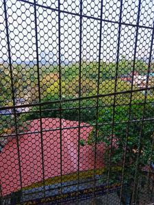 Balcony Image of 560 Sq.ft 1 BHK Apartment / Flat for sale in Royal Palms Summit Apartments, Goregaon East Mumbai for Rs. 7200000