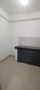 Kitchen Image of 1150 Sq.ft 3 BHK Apartment / Flat for sale in Ajnara Le Garden, Noida Extension Greater Noida for Rs. 10400000