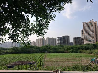 Image of 5400 Sq.ft Residential Plot / Land for sale in Sector 79, Noida for Rs. 100000000