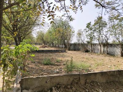 Shela Plot View 3
