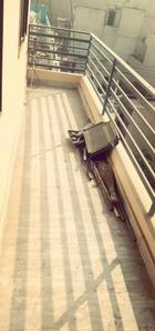 Balcony Image of 600 Sq.ft 2 BHK Apartment / Flat for sale in Ashok Vihar Phase 3 Extension Gurgaon for Rs. 2500000