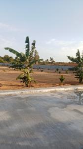 Image of 1200 Sq.ft Residential Plot / Land for sale in Kempanahalli, Bengaluru for Rs. 10000000