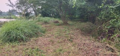 Image of 3432 Sq.ft Residential Plot / Land for sale in Pendurthi, Visakhapatnam for Rs. 8500000