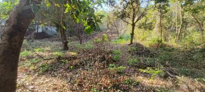 Image of 2450 Sq.ft Residential Plot / Land for sale in Colvale, Goa for Rs. 61300000