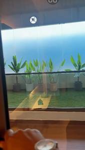 Bathroom Image of 2385 Sq.ft 3 BHK Apartment / Flat for sale in Noble Aurellia, Sector 88 Mohali for Rs. 27500000