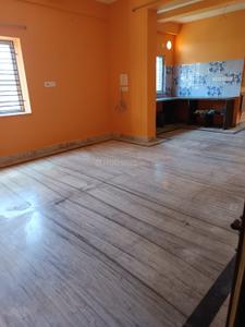 Hall Image of 1400 Sq.ft 3 BHK Apartment / Flat for rent in Kalyani Nadia for Rs. 20000