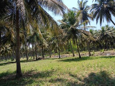 3 BHK Farm House