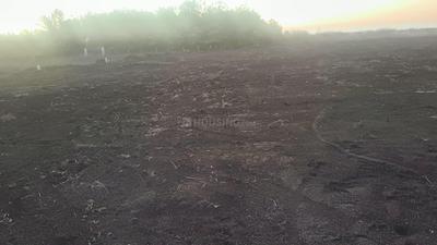 Image of 54450 Sq.ft Residential Plot / Land for sale in Reddiarpatti, Tirunelveli for Rs. 25000000
