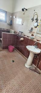 Image of 1000 Sq.ft 2 BHK Apartment / Flat for rent in Gaurs Gaur Galaxy, Vaishali, Ghaziabad for Rs. 26000