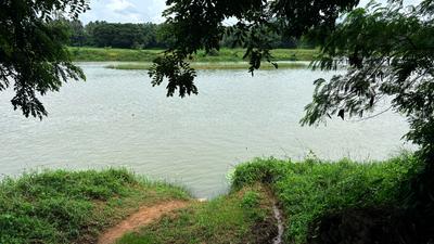 Image of 2613 Sq.ft Residential Plot / Land for sale in Shoranur, Palakkad for Rs. 1600000