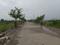 Adani Oyster Greens Internal Roads 2
