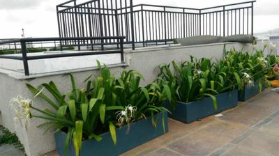 Balcony Image of 1200 Sq.ft 3 BHK Apartment / Flat for rent in Godrej Prime, Chembur Mumbai for Rs. 100000