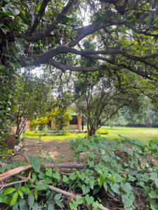 Image of 4000 Sq.ft Residential Plot / Land for sale in Sector 1, Solan for Rs. 1950000000