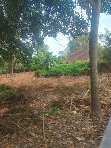 Image of 3659 Sq.ft Residential Plot / Land for sale in Chembukkav, Thrissur for Rs. 19300000