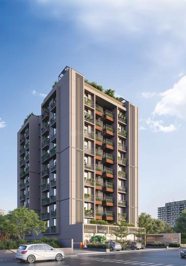 RK Rewa Pearl Main Image 1