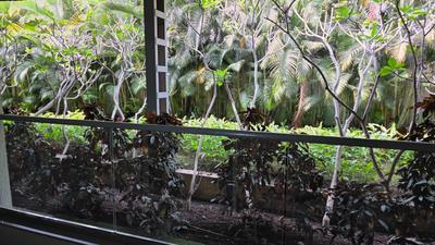 Balcony Image of 1800 Sq.ft 3 BHK Apartment / Flat for sale in Nanded City, Nanded Pune for Rs. 13600000