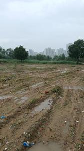 Image of 846 Sq.ft Residential Plot / Land for sale in Sector 72, Gurgaon for Rs. 14100000