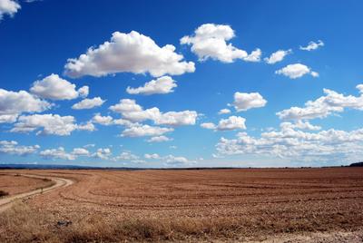 Image of 548778 Sq.ft Residential Plot / Land for sale in Visalpur, Ahmedabad for Rs. 270000000
