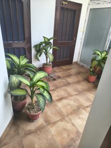 Balcony Image of 2100 Sq.ft 4 BHK Independent House for rent in Panchkula Extension Panchkula for Rs. 44000