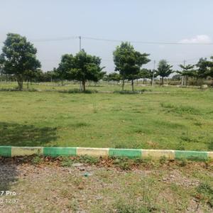Sondekoppa Plot View 2