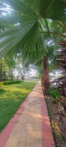 Image of 608 Sq.ft Residential Plot / Land for sale in Bhilai Marshalling Yard, Charoda for Rs. 1033600