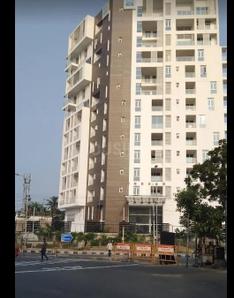 Image of 1620 Sq.ft 3 BHK Apartment / Flat for sale in Ashok Nagar, Chennai for Rs. 35000000