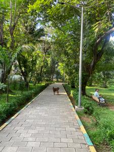 Image of 2000 Sq.ft 4 BHK Independent House for sale in Vashi, Navi Mumbai for Rs. 49000000