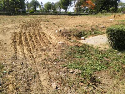 Image of 1089 Sq.ft Residential Plot / Land for sale in Reliance Met City, Yakubpur, Jhajjar for Rs. 12550000