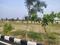 RAINBOW GARDEN Plot View 2