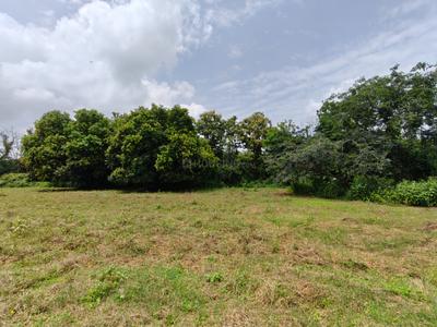 Image of 39300 Sq.ft Residential Plot / Land for sale in Kothapalle, Hyderabad for Rs. 60900000