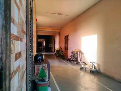 Balcony Image of 1650 Sq.ft 2 BHK Independent House for rent in Shahibaug Ahmedabad for Rs. 27000