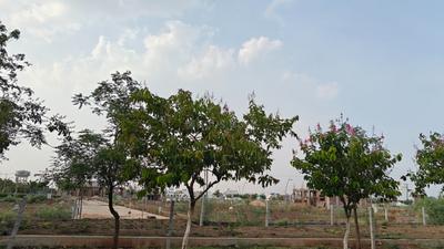 Image of 1500 Sq.ft Residential Plot / Land for sale in Wallfort Paradise, Kandul, Raipur for Rs. 3900000
