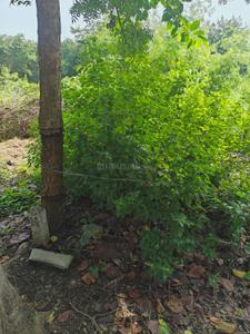 Image of 1817 Sq.ft Residential Plot / Land for sale in Rau, Indore for Rs. 12500000