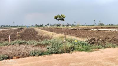 Image of 190 Sq.ft Residential Plot / Land for sale in Bhavishya Raaga, Kankipadu, Vijayawada for Rs. 2850000