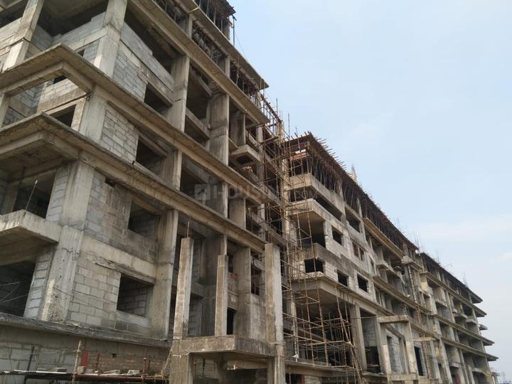 Belani Zest Main Image 1