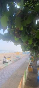 Image of 1800 Sq.ft 3 BHK Builder Floor for rent in Palavakkam, Sholinganallur, Chennai for Rs. 30000